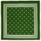 Bandana "Popeye"